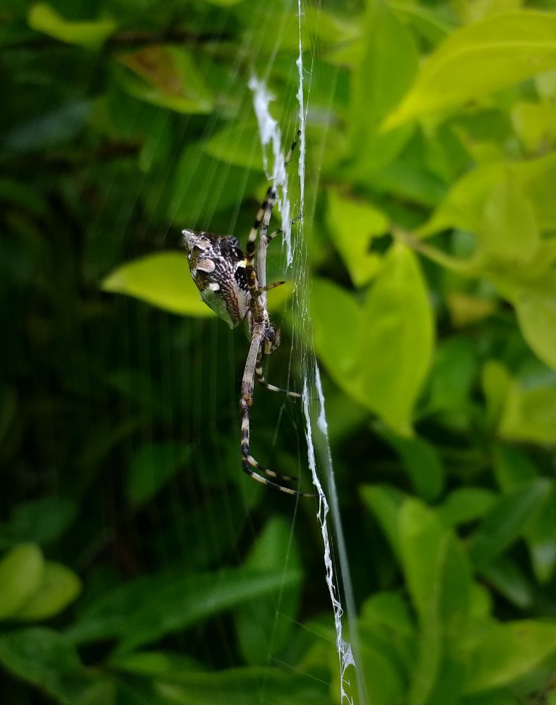 Photograph by GLEYDA GUTIÉREZ