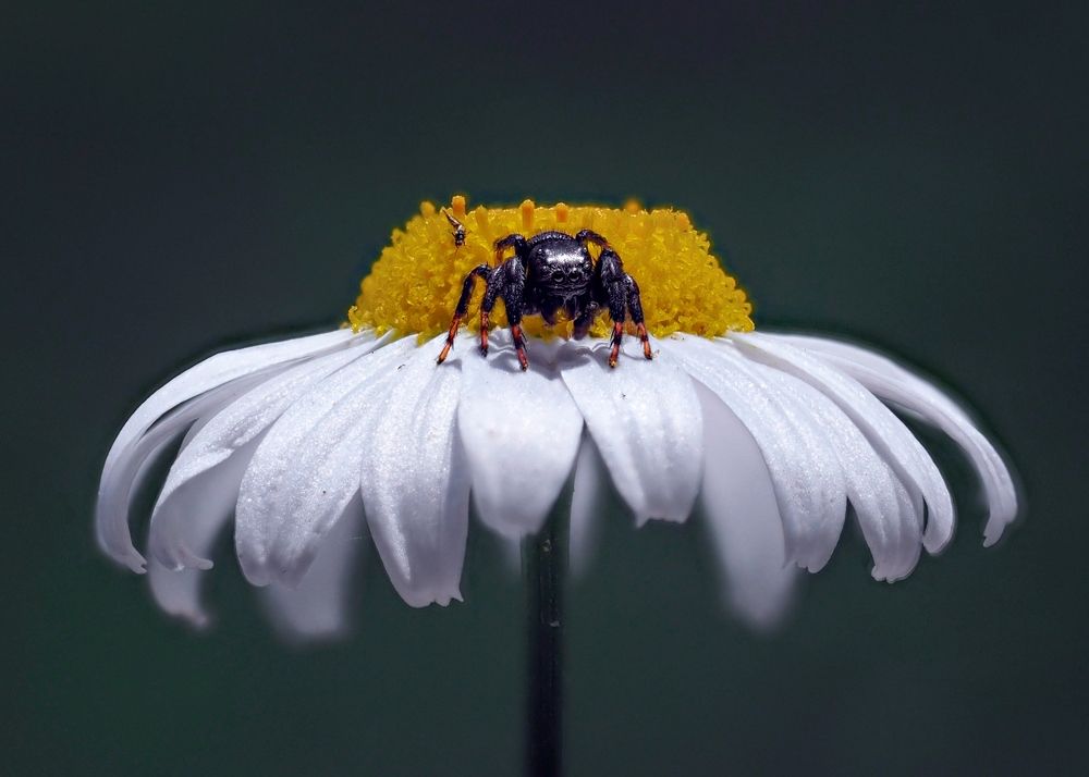 Photograph by Баранов Олег