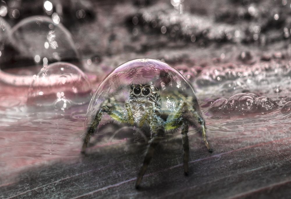 Photograph by Adriana Claudia Gallardo