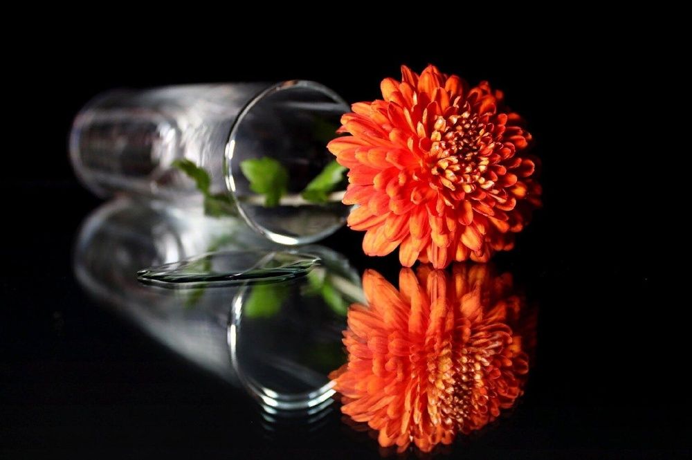 Photograph by Людмила Таерова