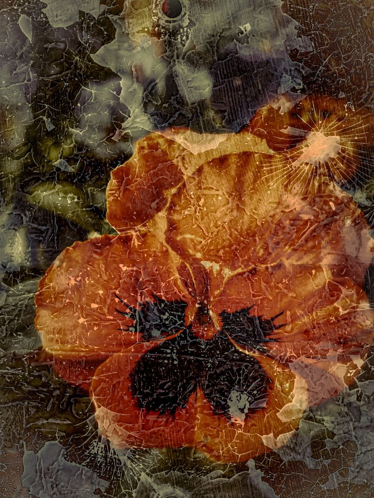 Photograph by Татьяна Олефиренко