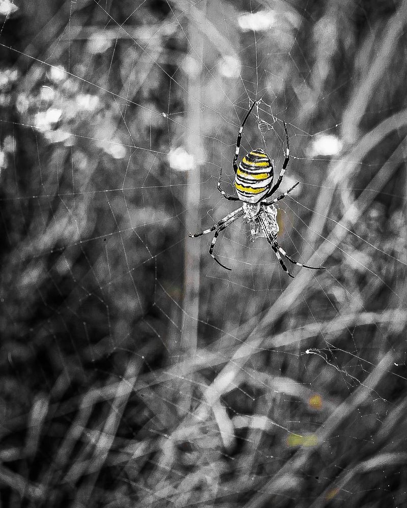 Photograph by Наталья Лукьянчук