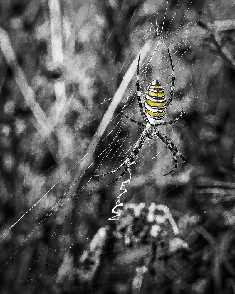 Photograph by Наталья Лукьянчук