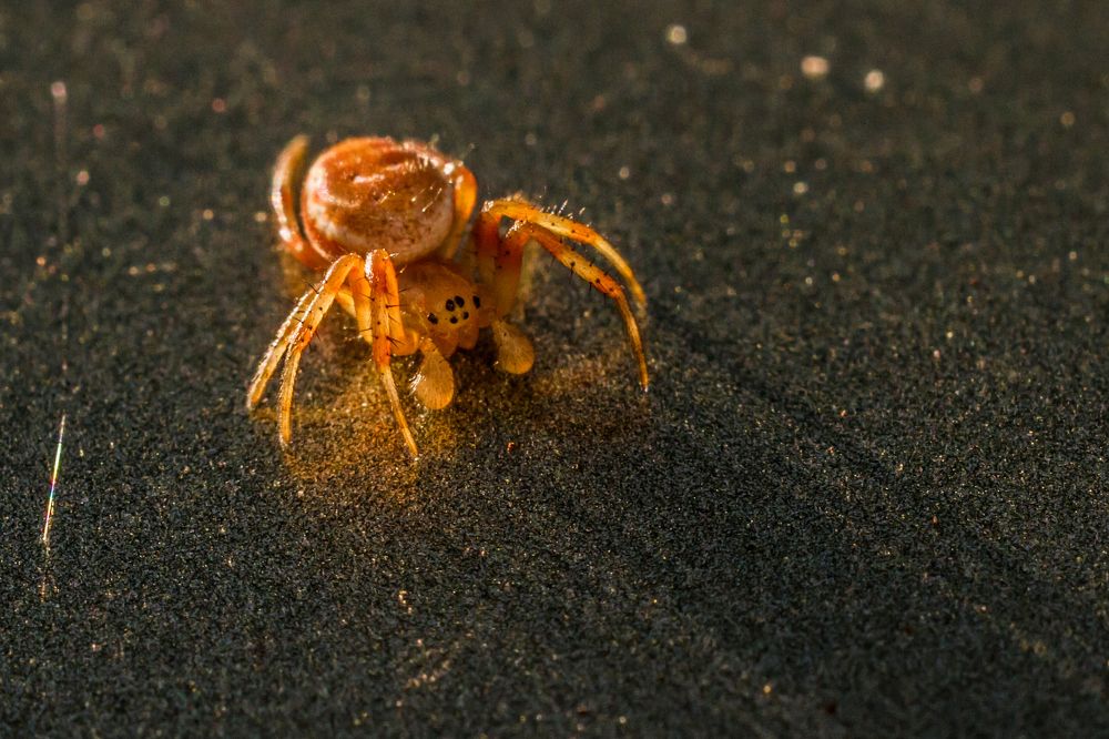 Photograph by Дмитрий Пасынков