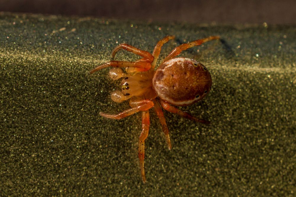 Photograph by Дмитрий Пасынков