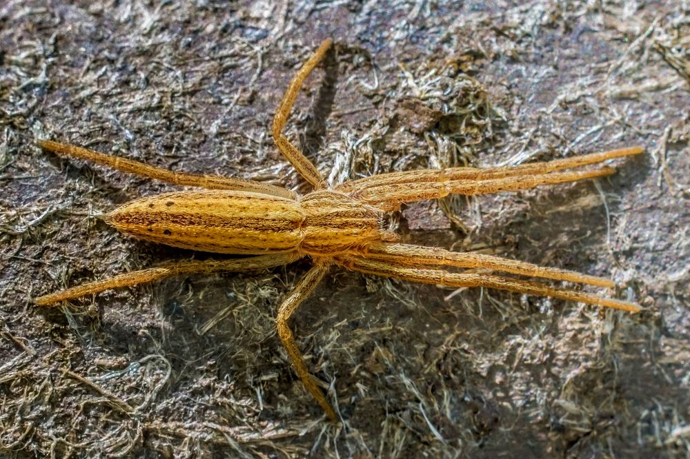 Photograph by Дмитрий Пасынков