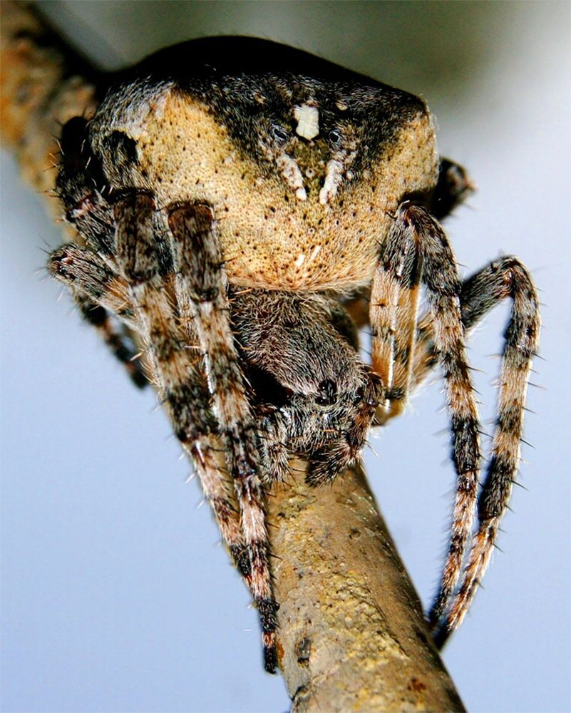 Photograph by Андрей Стародубцев