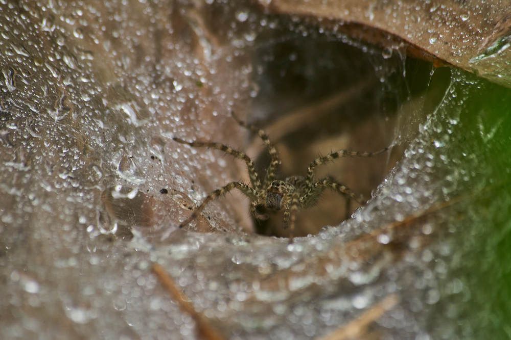 Photograph by Дмитрий Солодухин