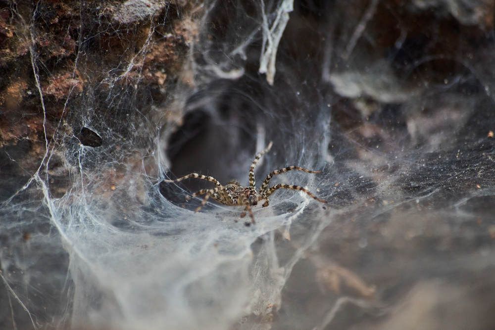 Photograph by Дмитрий Солодухин