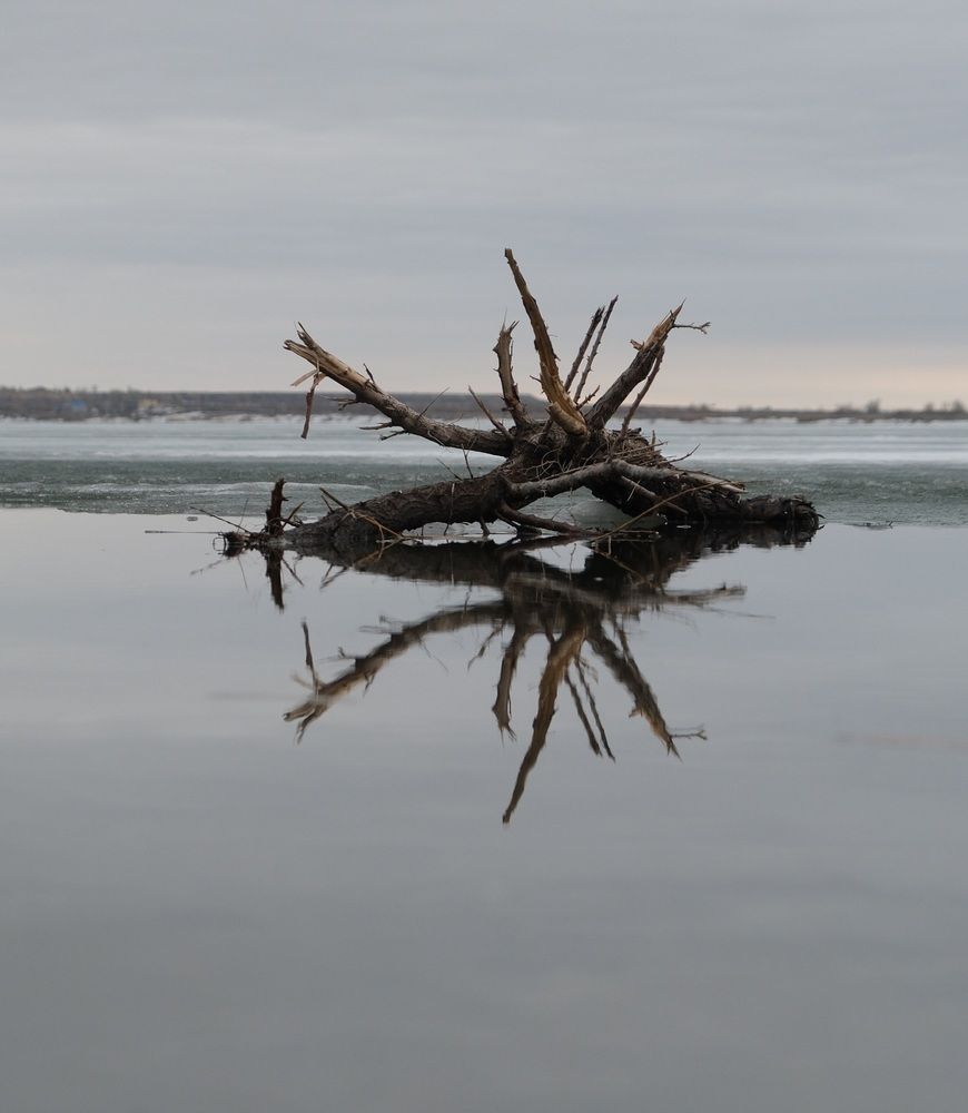 Photograph by Яна Истоцкая