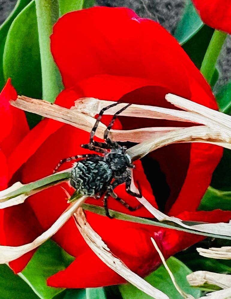 Photograph by Татьяна Михайловна