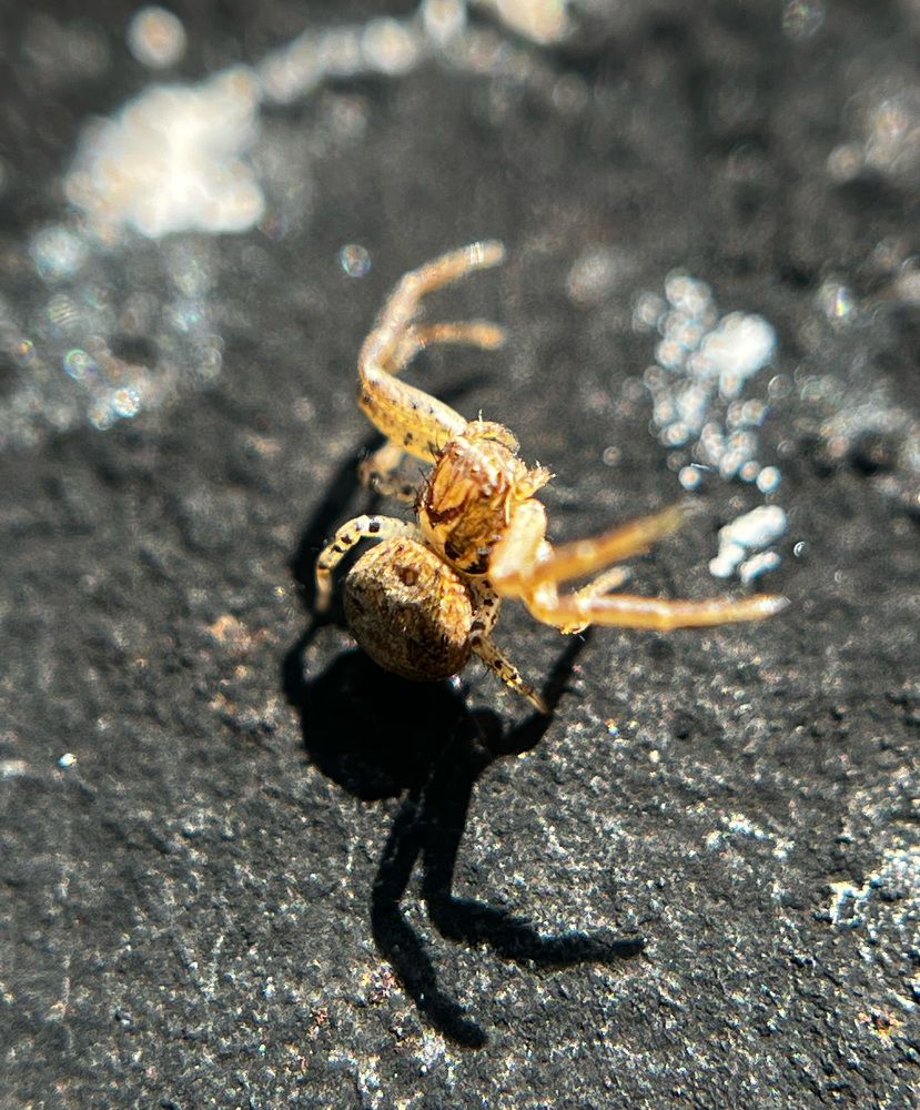 Photograph by Татьяна Михайловна