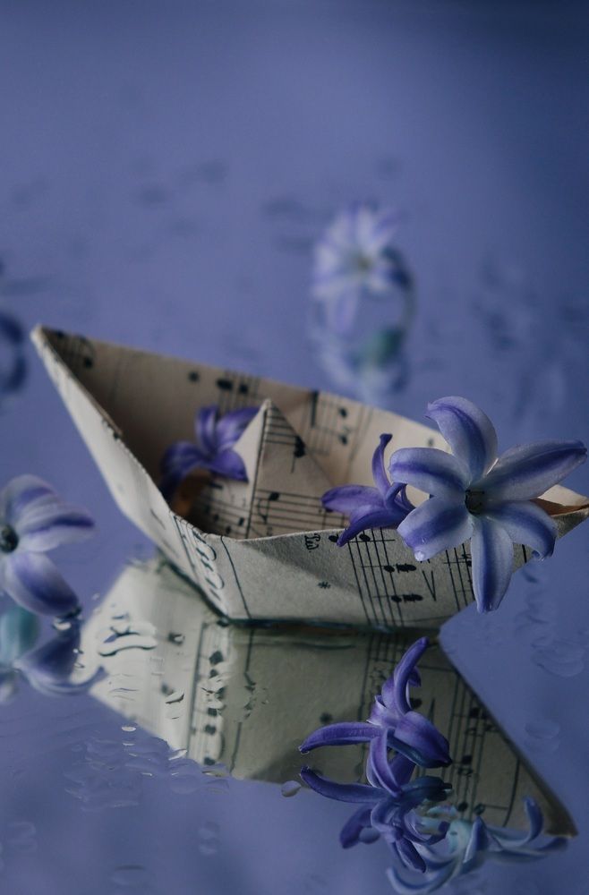 Photograph by Яна Истоцкая