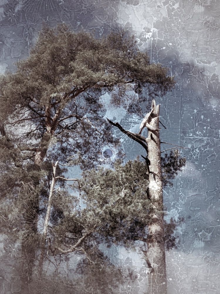 Photograph by Татьяна Олефиренко