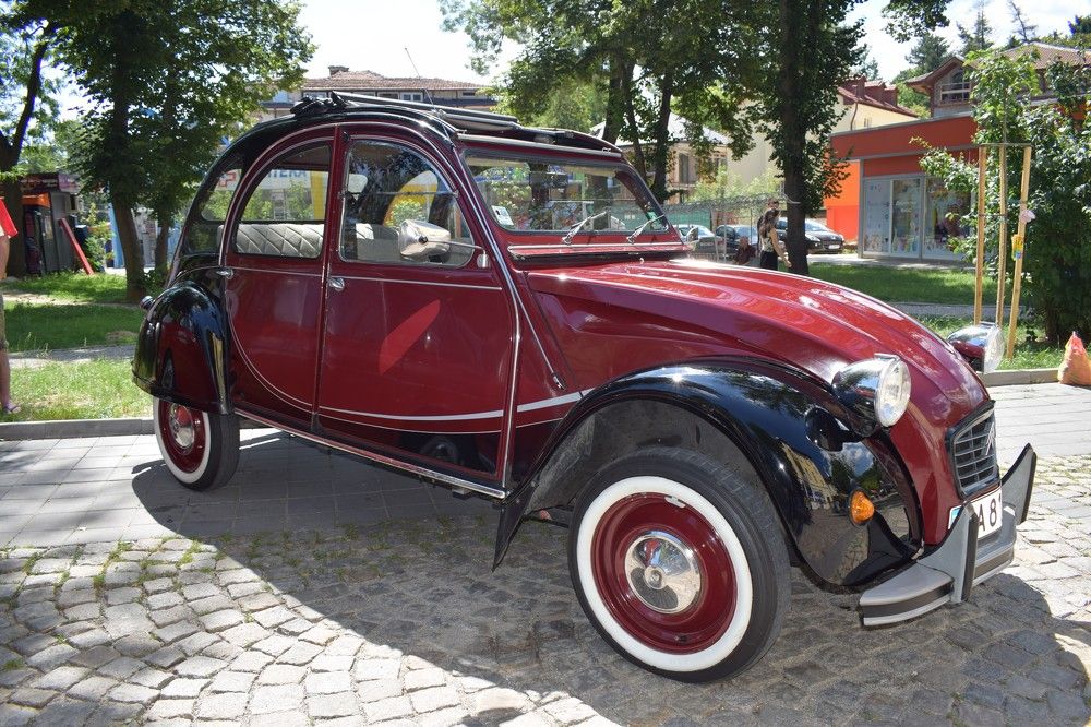 Photograph by Vyacheslav Popov