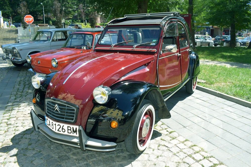 Photograph by Vyacheslav Popov