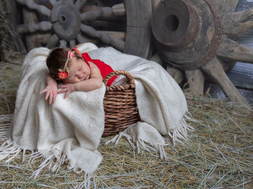 Photograph by Марина Маликова