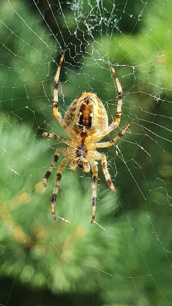 Photograph by Liudmila Kirillova