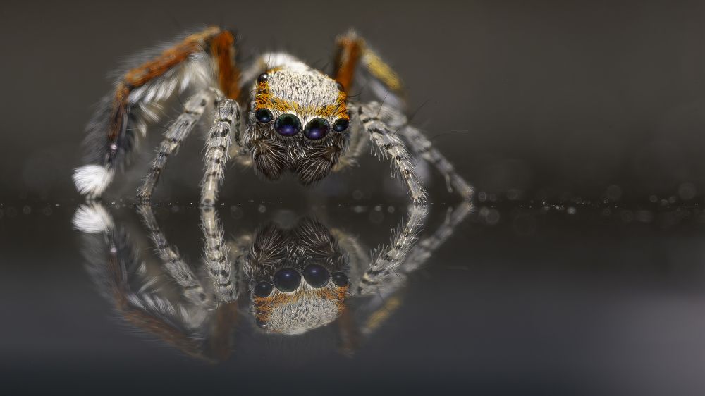 Photograph by Thierry KIEFFER