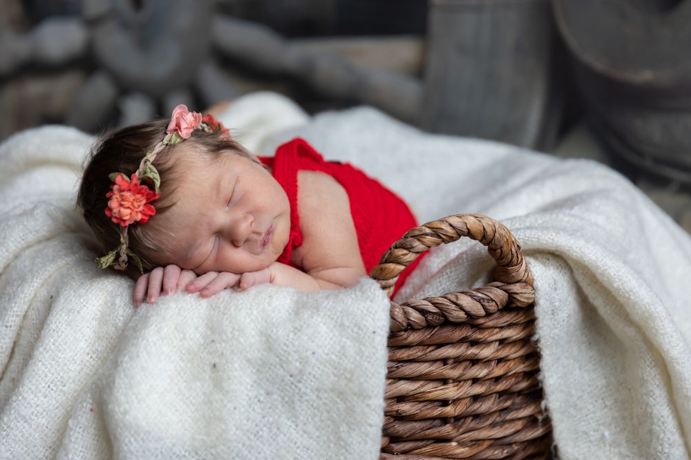 Photograph by Марина Маликова