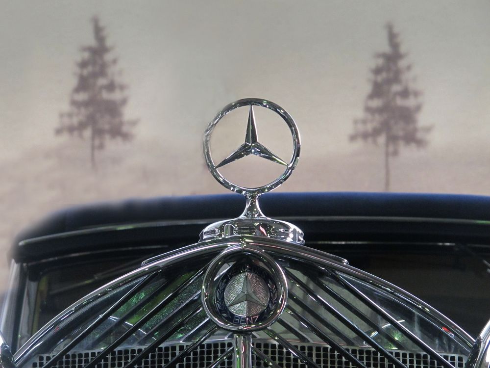 Photograph by Анастасия Пухова