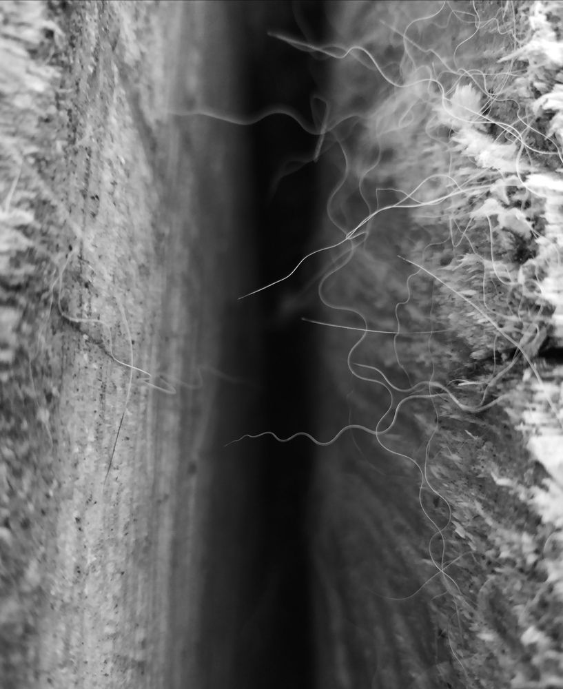 Photograph by Елена Наленч