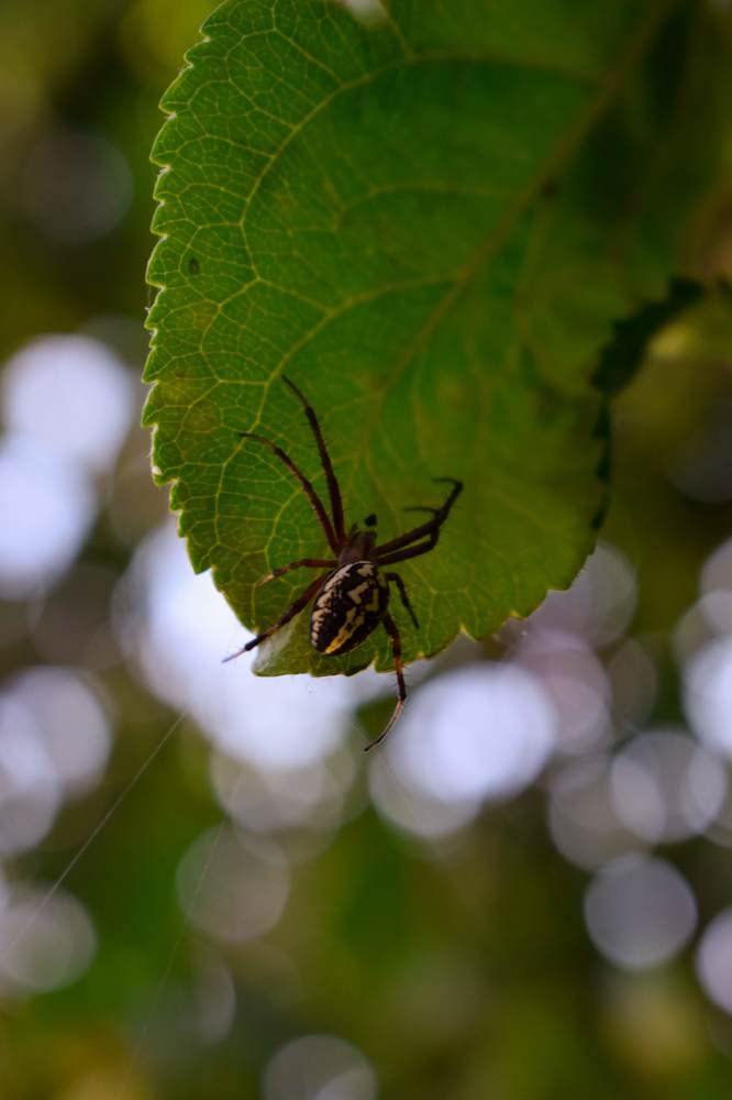 Photograph by Анна Федотова