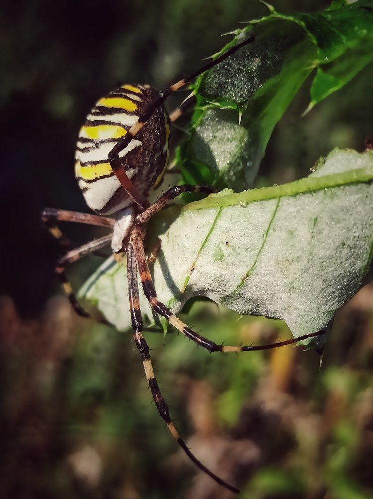 Photograph by Татьяна Долгушева