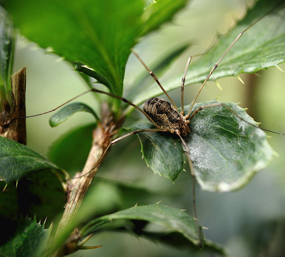 Photograph by Гагик Саркисян