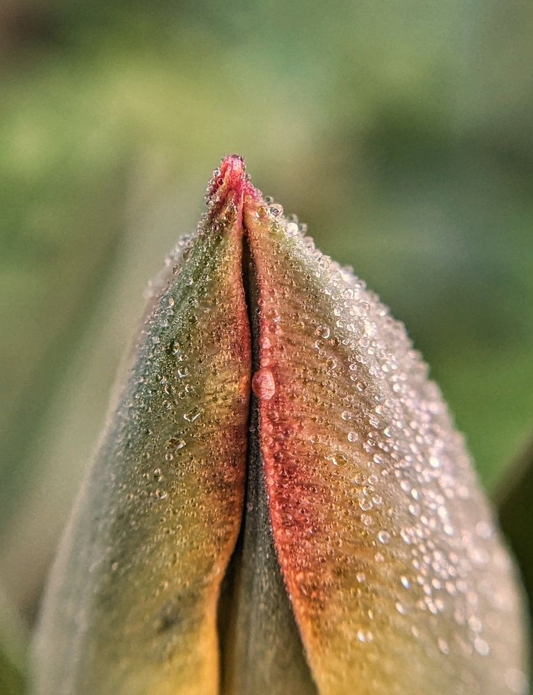 Photograph by Екатерина Колот