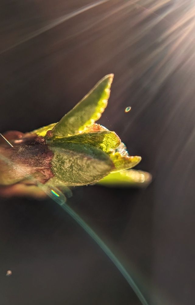 Photograph by Екатерина Колот