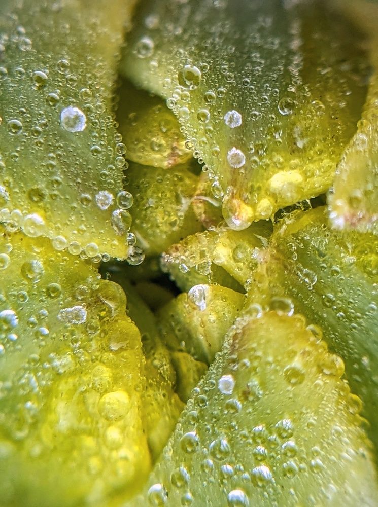 Photograph by Екатерина Колот