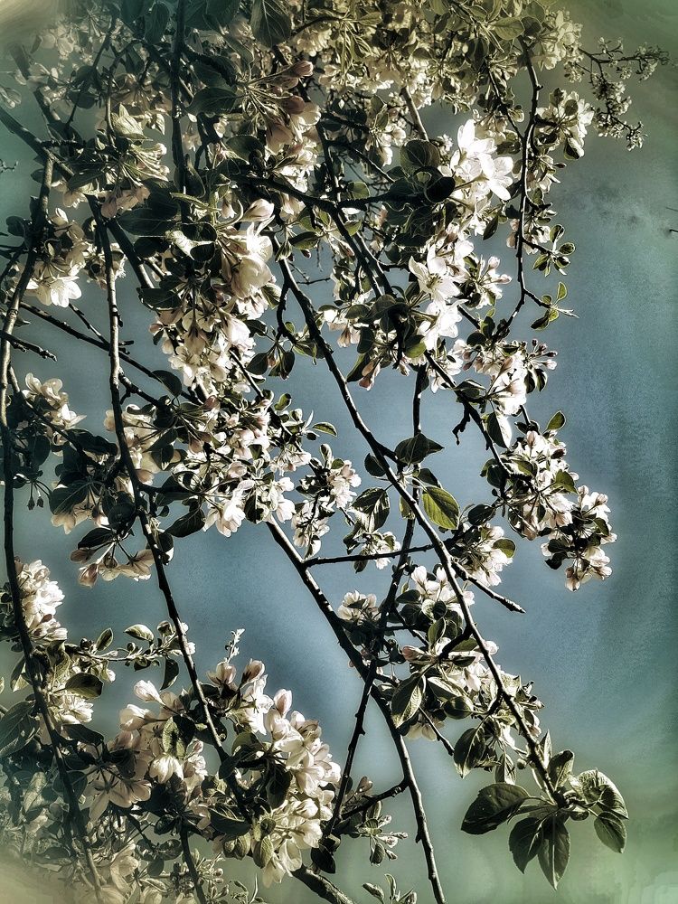 Photograph by Татьяна Олефиренко