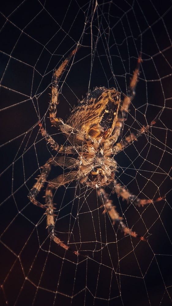 Photograph by Наталья Лищинская