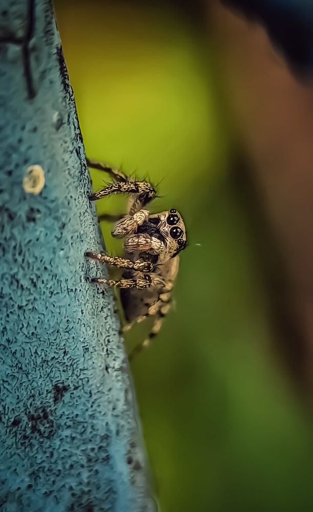 Photograph by Наталья Лищинская