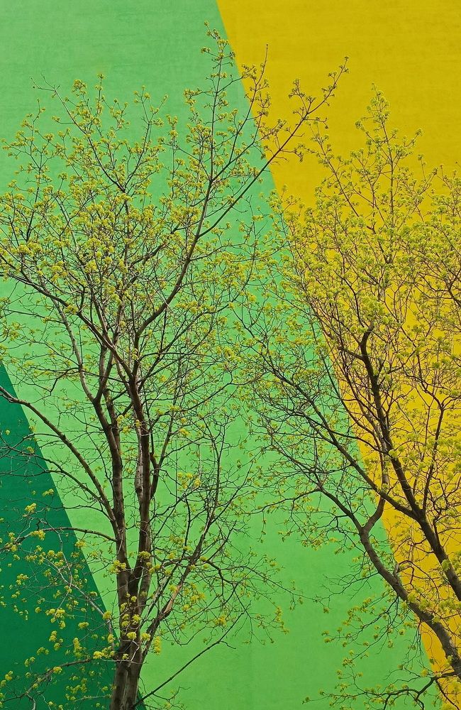 Фотография автора Юрий Звонарев