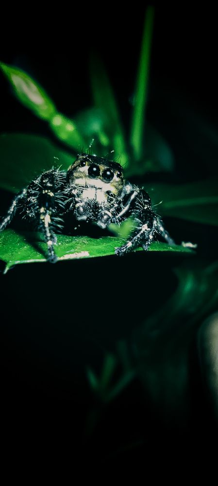 Photograph by sanisha kp