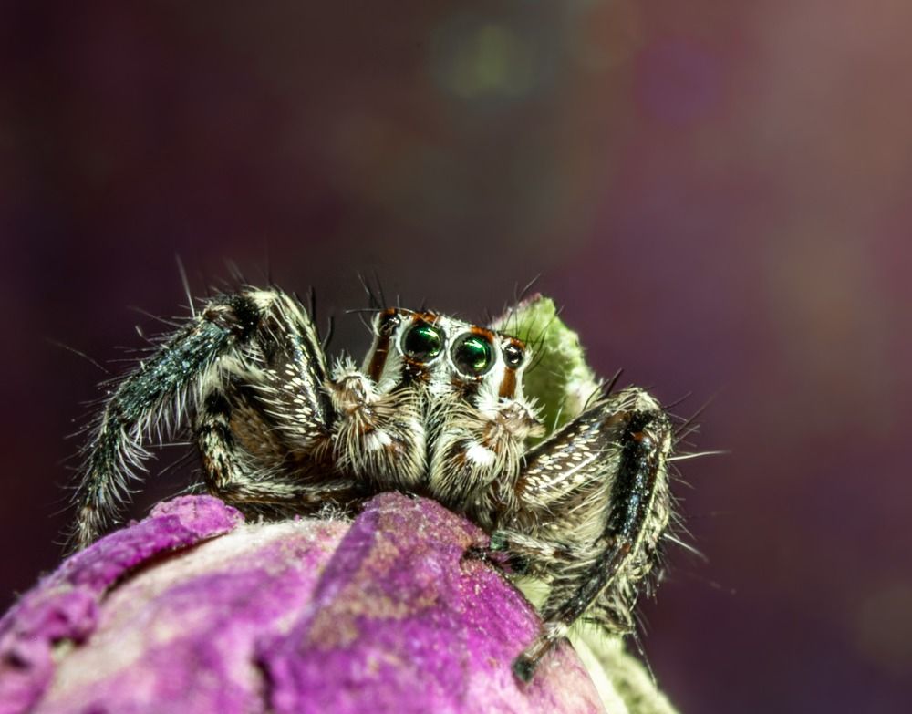 Photograph by Youness Fakoiallah