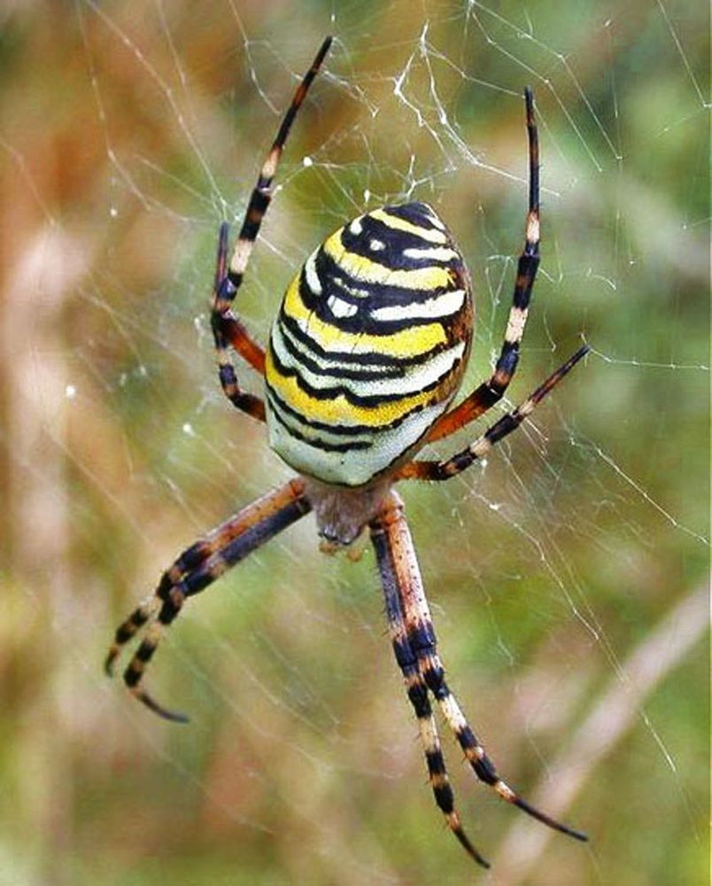 Photograph by Алла Бойко