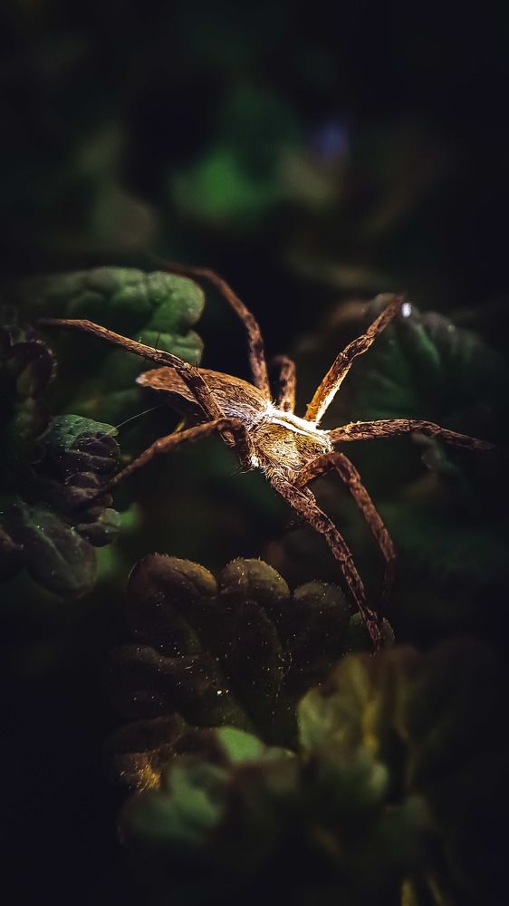 Photograph by Наталья Лищинская