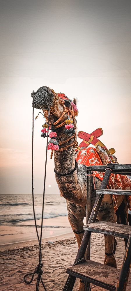 Photograph by sanisha kp