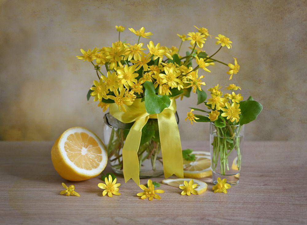 Photograph by Inna Ivanova