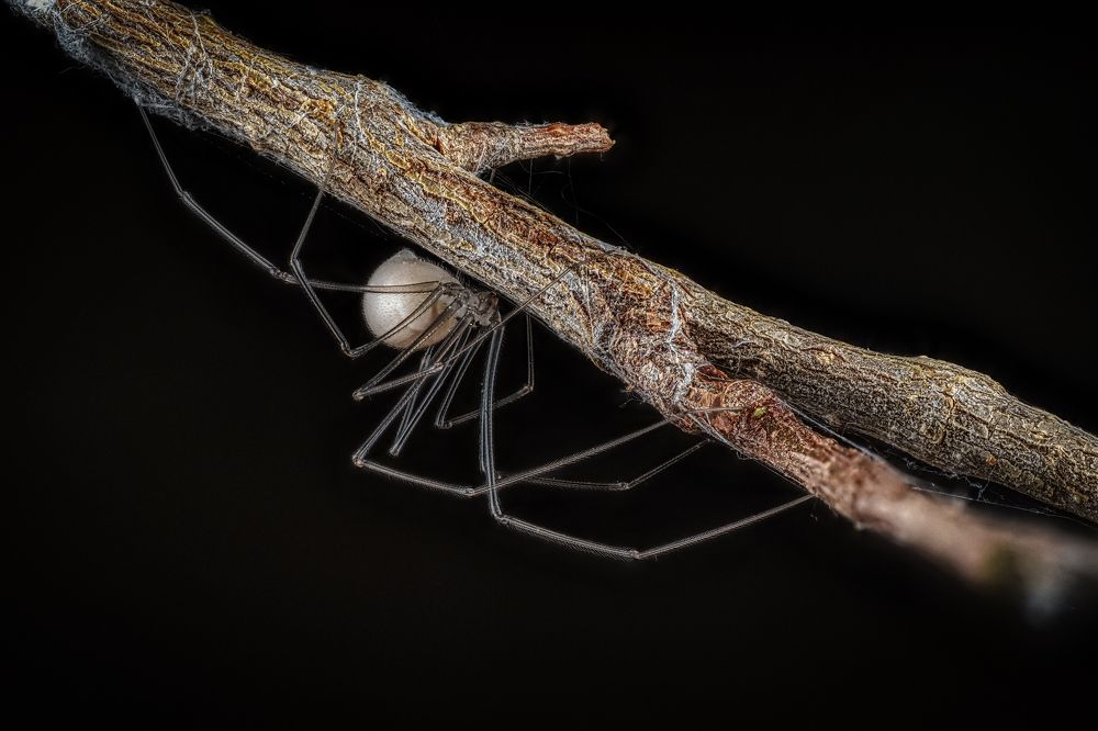 Photograph by савицкий олег