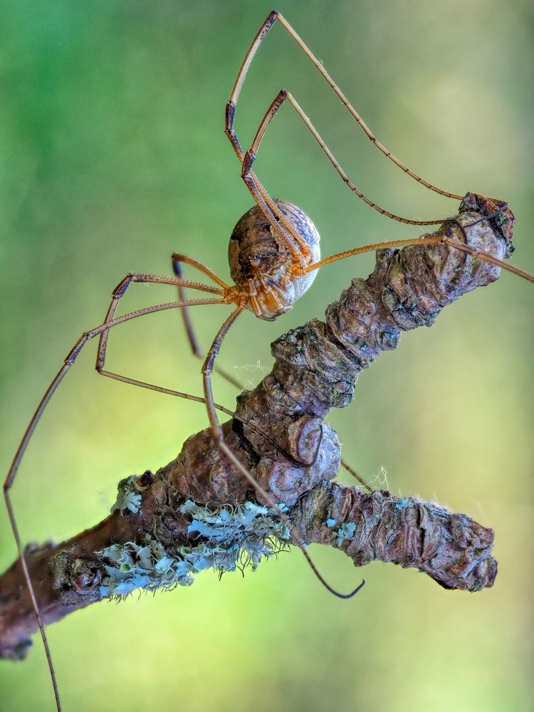 Photograph by савицкий олег