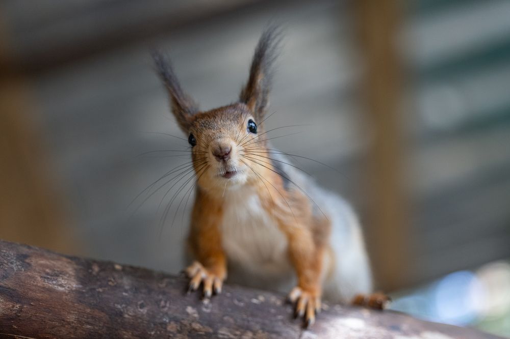 Photograph by Пономарев Илья