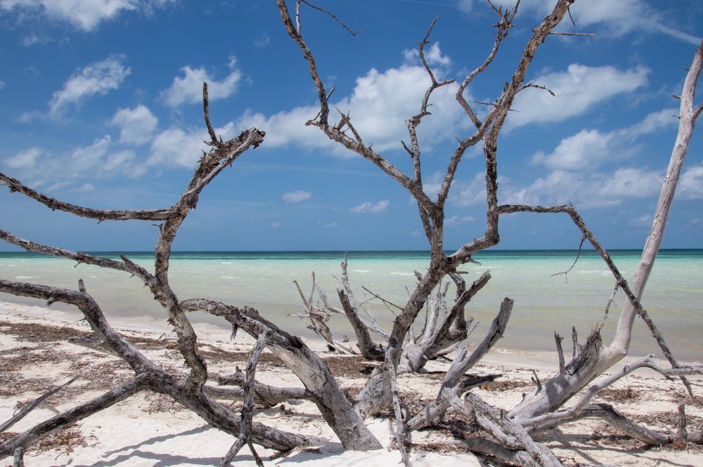 Photograph by Nora Cheprasova