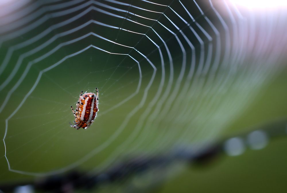Фотография автора Maichel de Paula
