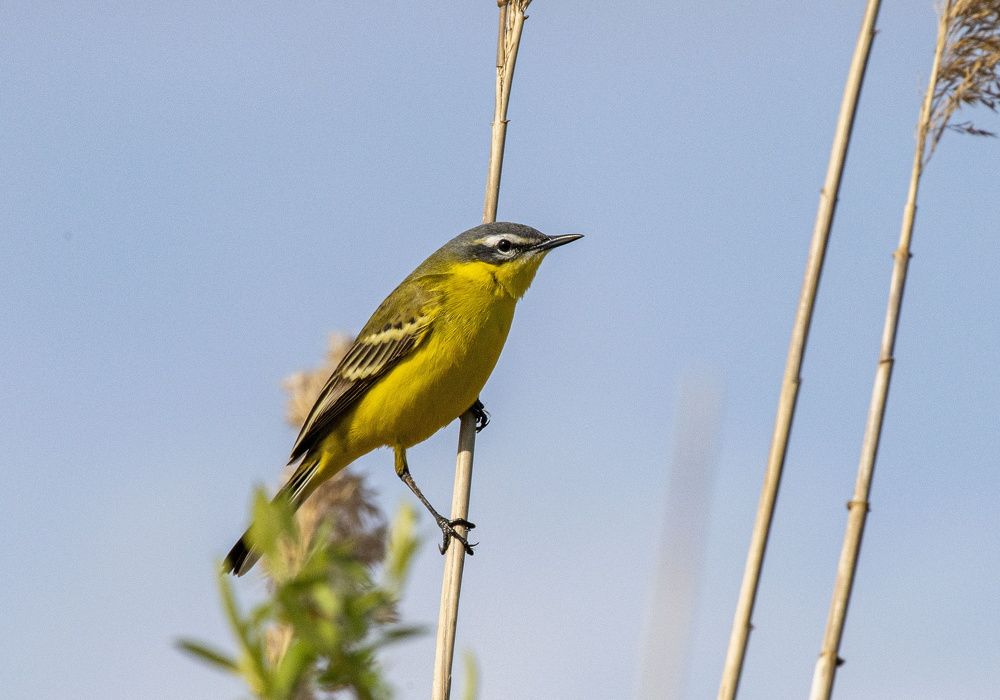 Photograph by Сиваков Алексей