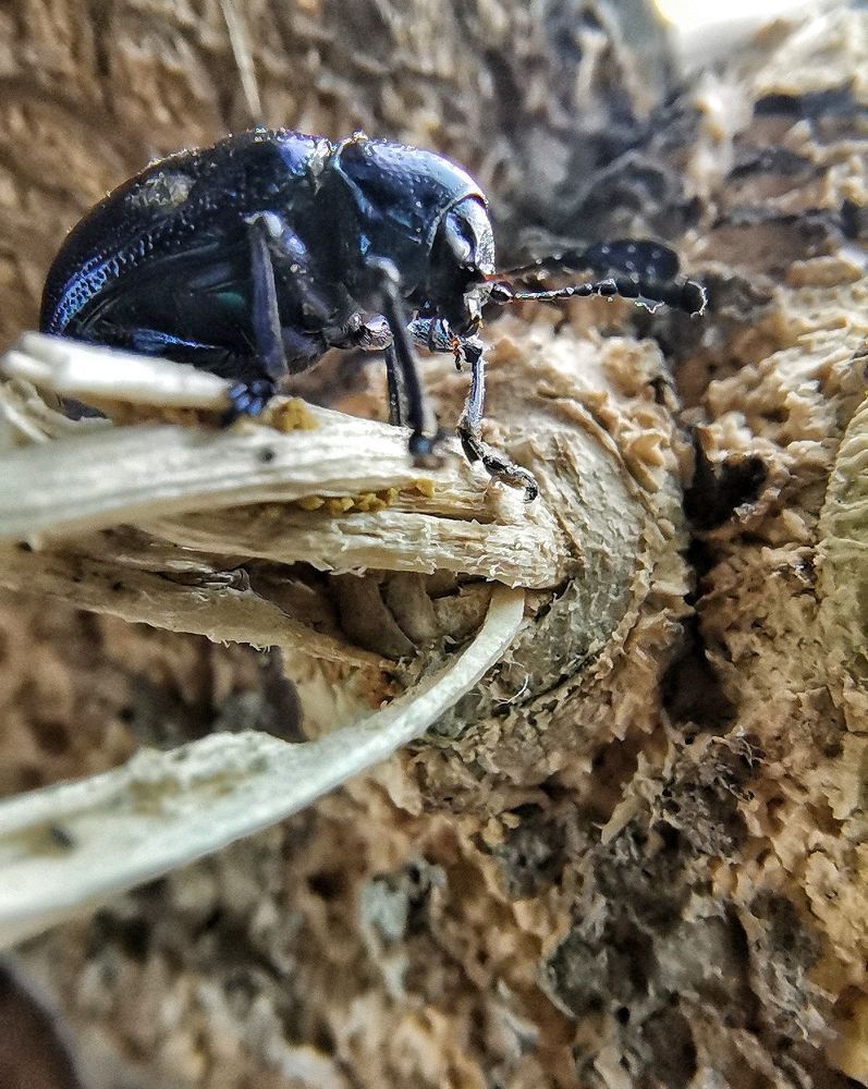 Photograph by Anil Yadav