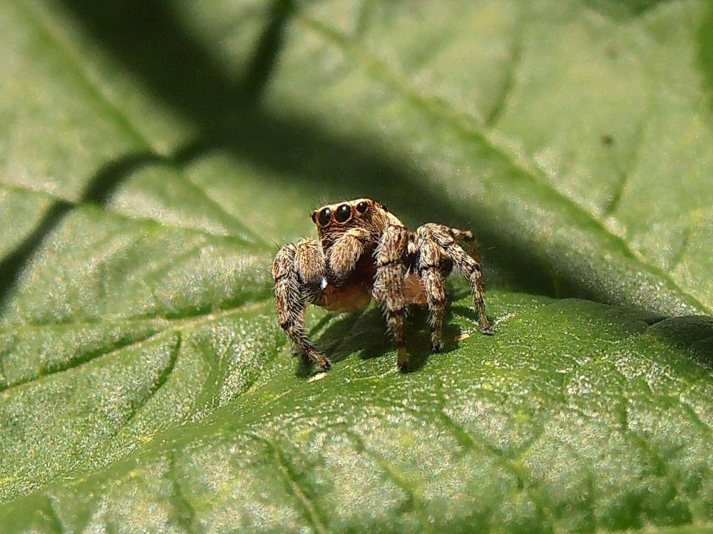 Photograph by Галина Кан